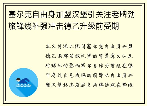 塞尔克自由身加盟汉堡引关注老牌劲旅锋线补强冲击德乙升级前受期